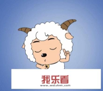 喜羊羊与灰太狼资料？