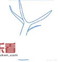 大树简笔画怎么画？