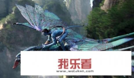 阿凡达指什么意思？