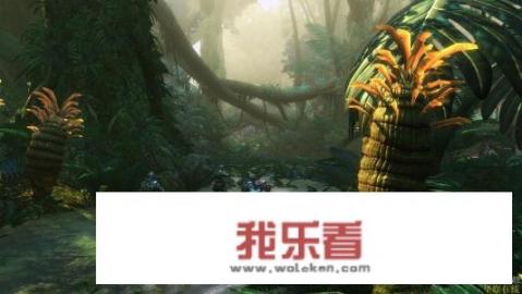 阿凡达指什么意思？