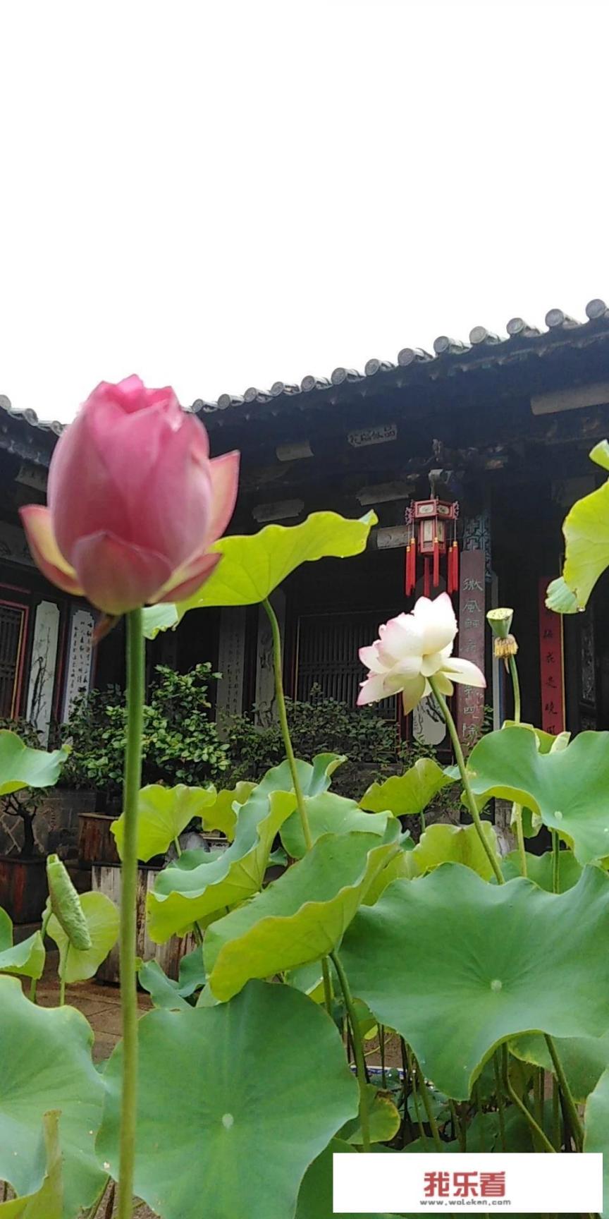云南最大的县城建水？