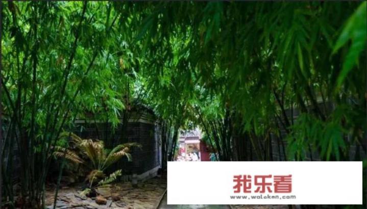 南方和北方的区别？