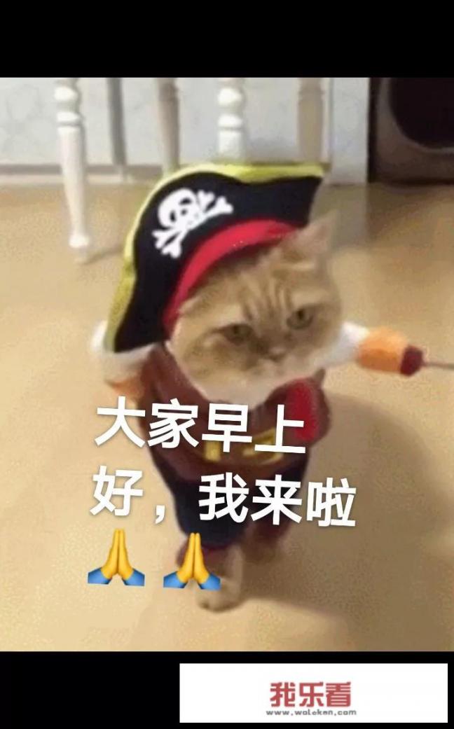 珍稀动物有哪些图片和资料？