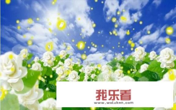 为什么在重大场合都选择演奏《茉莉花》？