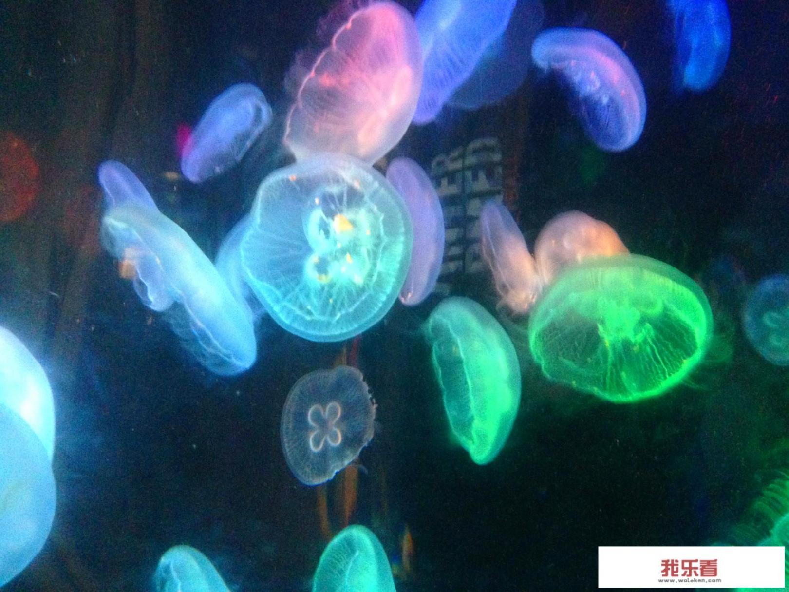 什么是海里？