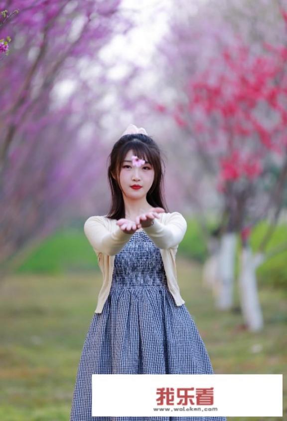 模特的概念和特点？