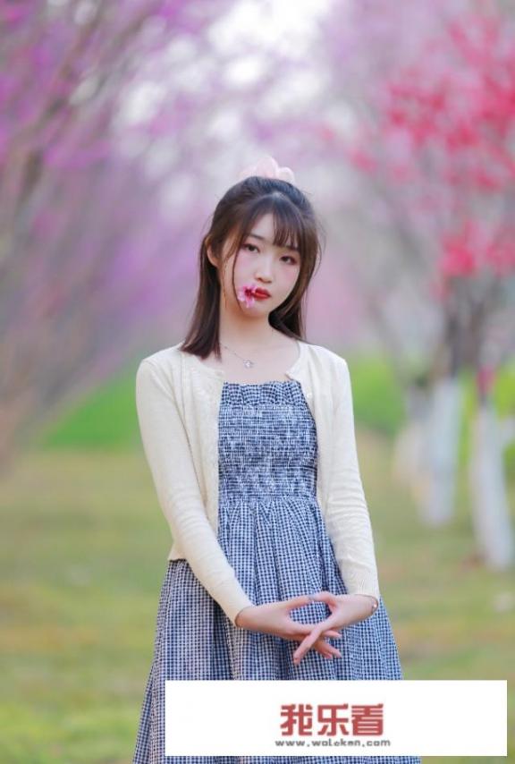 模特的概念和特点？