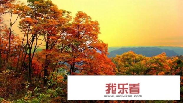 毕棚沟在成都哪个地方？