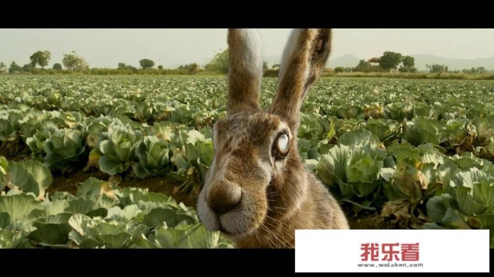 豆瓣高分电影《调音师》，男主最后瞎了吗？