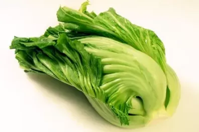 芥菜图片及识别方法？