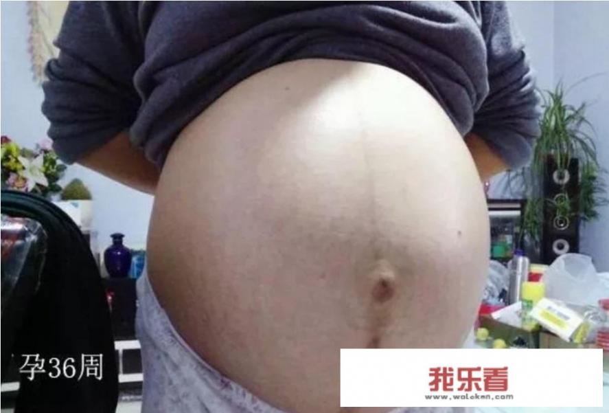 2012年9月怀孕到2022年几月生？