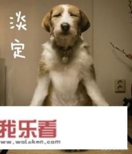 无止境的异国恋，还要在一起吗？