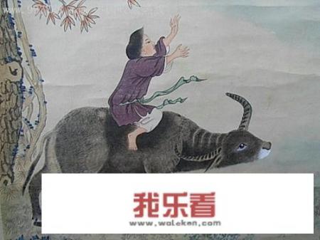 宾莎犬爱叫吗？