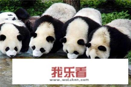 秦岭野生动物园怎么样？