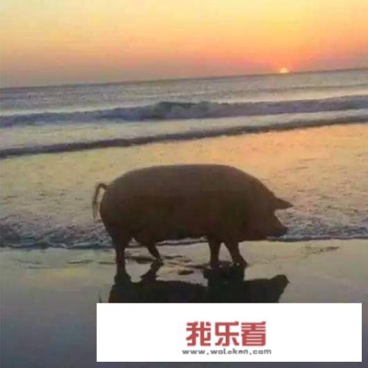 春节到了，回忆过去的2018，你收获了哪些东西是你一生不能忘记的？