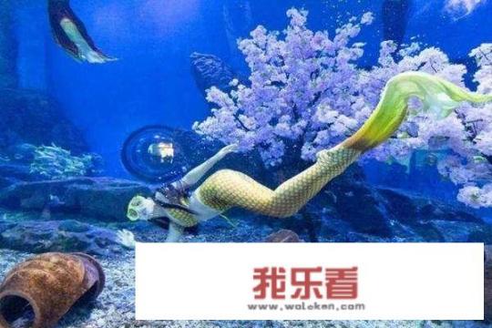 海昌海洋公园门票购买攻略？