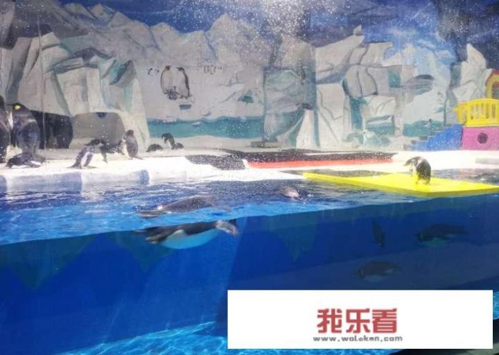 海昌海洋公园门票购买攻略？