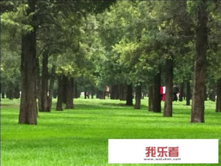 北京旅游攻略～具体到景区、景点、怎么玩、玩什、有哪些注意事项、怎么放被骗等等？