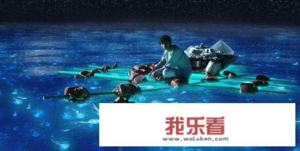 少年派的奇幻漂流讲的什么？