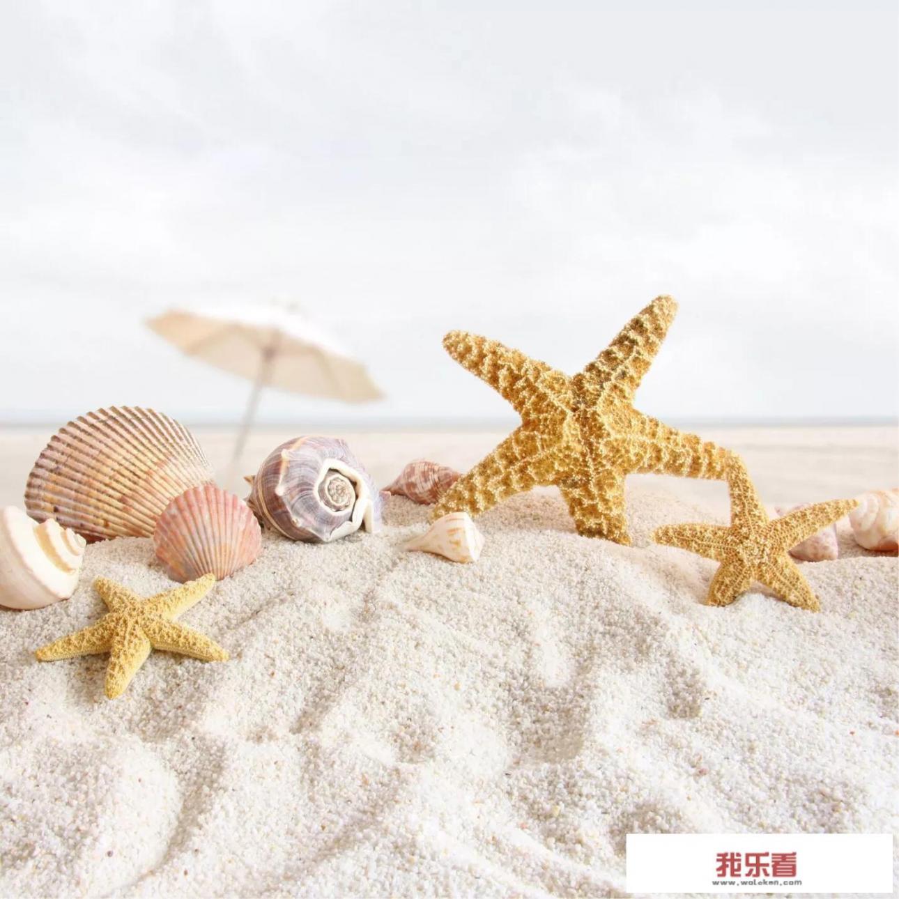 怎么设置手机壁纸超清风景？