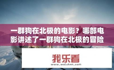 一群狗在北极的电影？哪部电影讲述了一群狗在北极的冒险？北极熊大冒险，探索无尽未知的狗群与北极之旅的故事