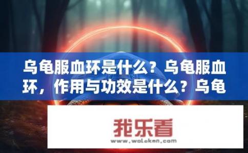 乌龟服血环是什么？乌龟服血环，作用与功效是什么？乌龟服血环的真实功效及作用机制是什么?