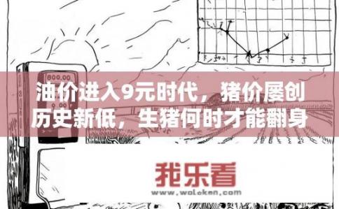 油价进入9元时代，猪价屡创历史新低，生猪何时才能翻身？油价高涨，猪价低迷，生猪市场何时能迎来转机？猪价跌至历史低位，短期内如何提振行情？