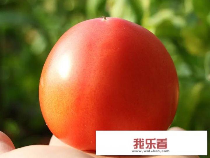 普罗旺斯是哪个国家的？