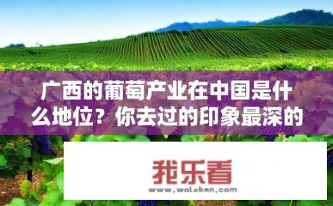 广西的葡萄产业在中国是什么地位？你去过的印象最深的葡萄园有哪些？广西葡萄产业地位如何？哪些葡萄园让你印象深刻？广西葡萄产业在国内的地位及代表性葡萄园评价，影响力与代表作分享