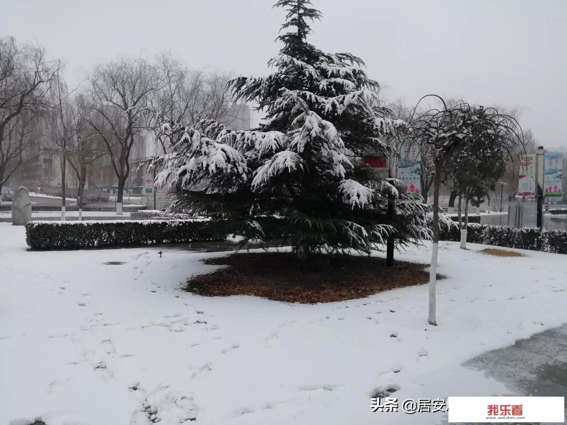 唐山市丰润区24时天气预报？