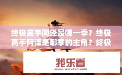 终极高手阿泽是哪一季？终极高手阿泽是哪季的主角？终极高手系列，阿泽在哪个季节出现及其角色?