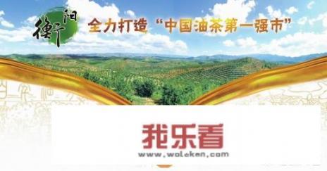 衡阳历史天气预报查询？