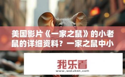 美国影片《一家之鼠》的小老鼠的详细资料？一家之鼠中小老鼠的详细资料是什么？影片一家之鼠中的小老鼠角色信息，生平、形象和经历详述