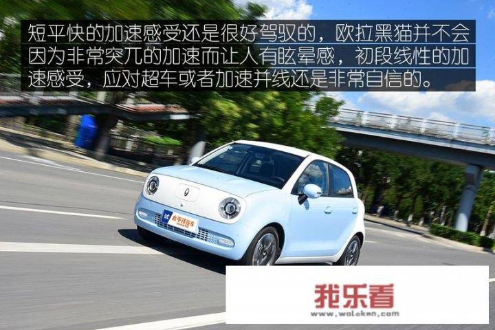 欧拉黑猫白猫区别？