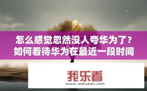 怎么感觉忽然没人夸华为了？如何看待华为在最近一段时间以来遭遇的无人称赞现象?