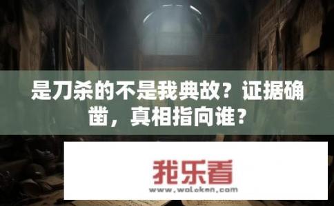 是刀杀的不是我典故？证据确凿，真相指向谁？