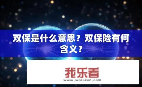 双保是什么意思？双保险有何含义？