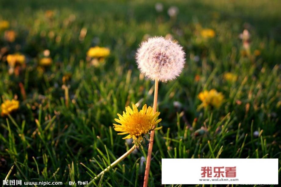 合租时遇到一对情侣是种什么体验？