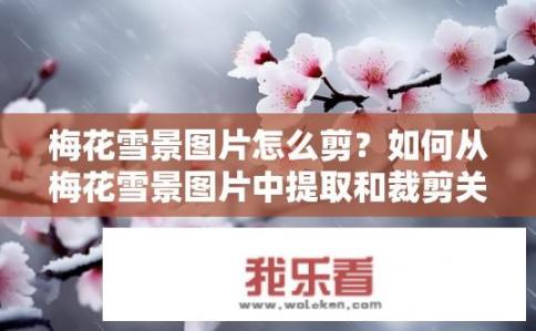 梅花雪景图片怎么剪？如何从梅花雪景图片中提取和裁剪关键元素以形成适合主题或设计需求的视觉元素?