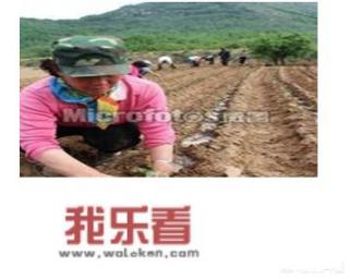 枯木逢春犹再发，人无两度再少年的意思？