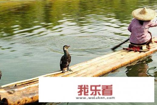 中国古代有哪些著名舞蹈？