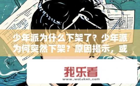 少年派为什么下架了？少年派为何突然下架？原因揭示，或版权问题、内容违规还是市场反应？