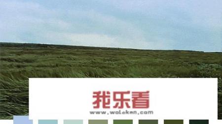 呼和浩特连续两年蝉联中国天气网发布的年度风城，呼和浩特的风有多大？