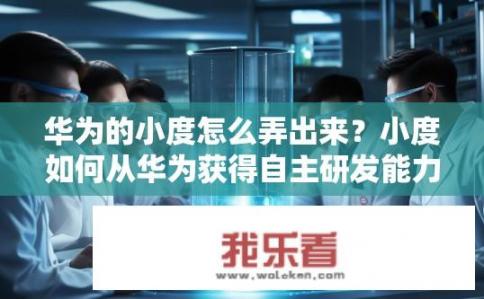华为的小度怎么弄出来？小度如何从华为获得自主研发能力?