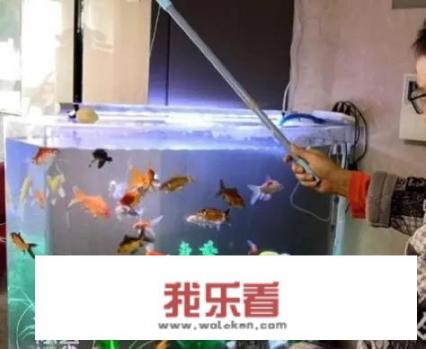 谁有家庭教师Reborn里的沢田纲吉十年后的图片？