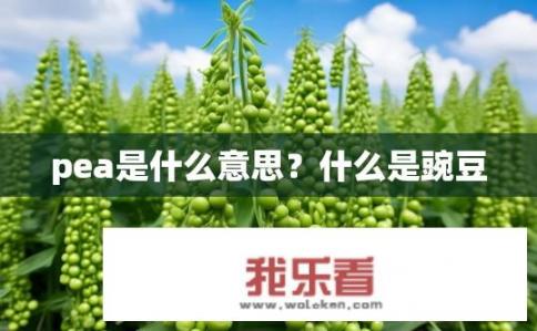 pea是什么意思？什么是豌豆