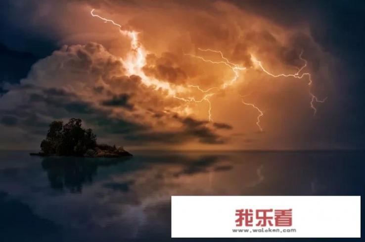 蓝白孔雀鱼用什么颜色的背景？
