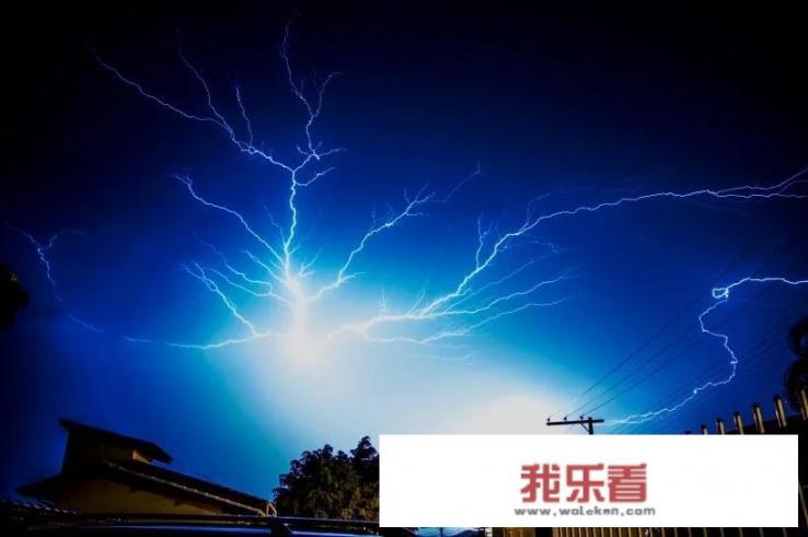 蓝白孔雀鱼用什么颜色的背景？