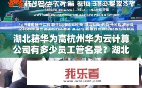 湖北籍华为高杭州华为云计算公司有多少员工管名录？湖北籍华为高云业务员人数占比多少？