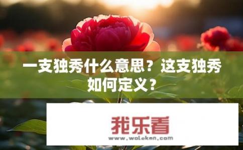 一支独秀什么意思？这支独秀如何定义？